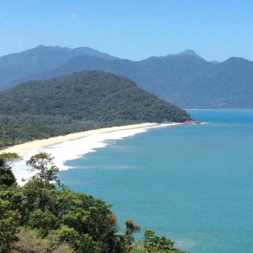 Oito viram réus por desmatamento e grilagem na região da Praia do Puruba, em Ubatuba, SP