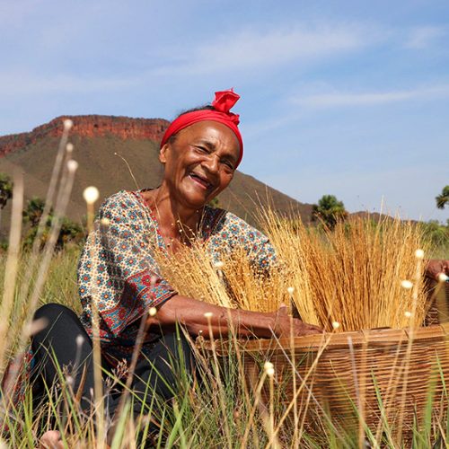 Tocantins investe mais de R$ 100 milhões em cultura, atingindo todos os