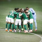 Palmeiras arrasa LDU com 4 gols e conquista lugar na final da Libertadores.