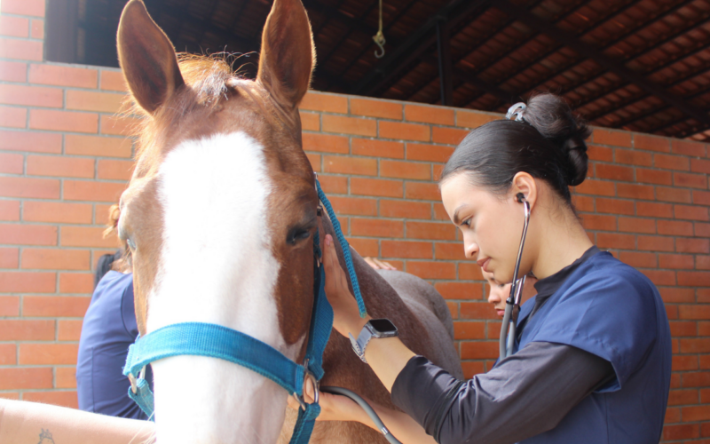Formação em Medicina Veterinária na Fametro acompanha expansão do setor no Brasil