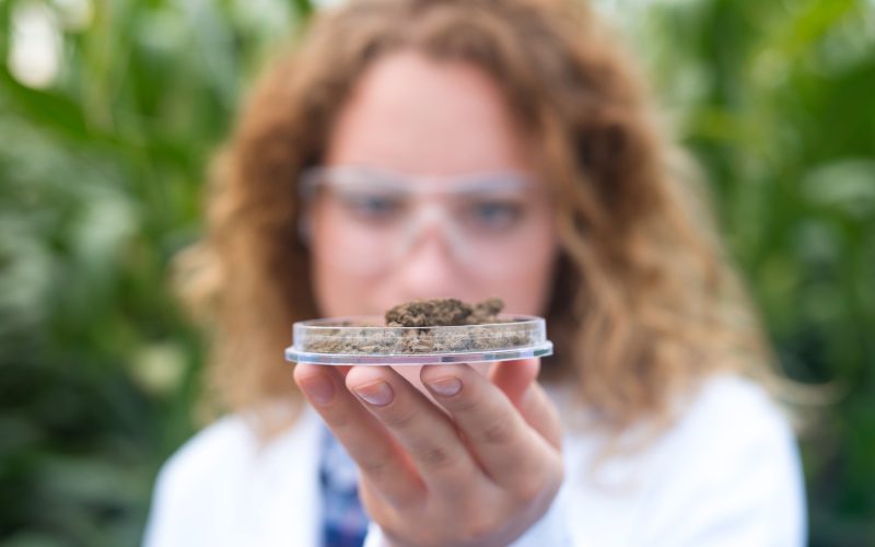 Parceria entre Cannect e FoliuMed lançam projeto que avança na tratamento baseado em protocolos científicos para tratamento de dor com THC
